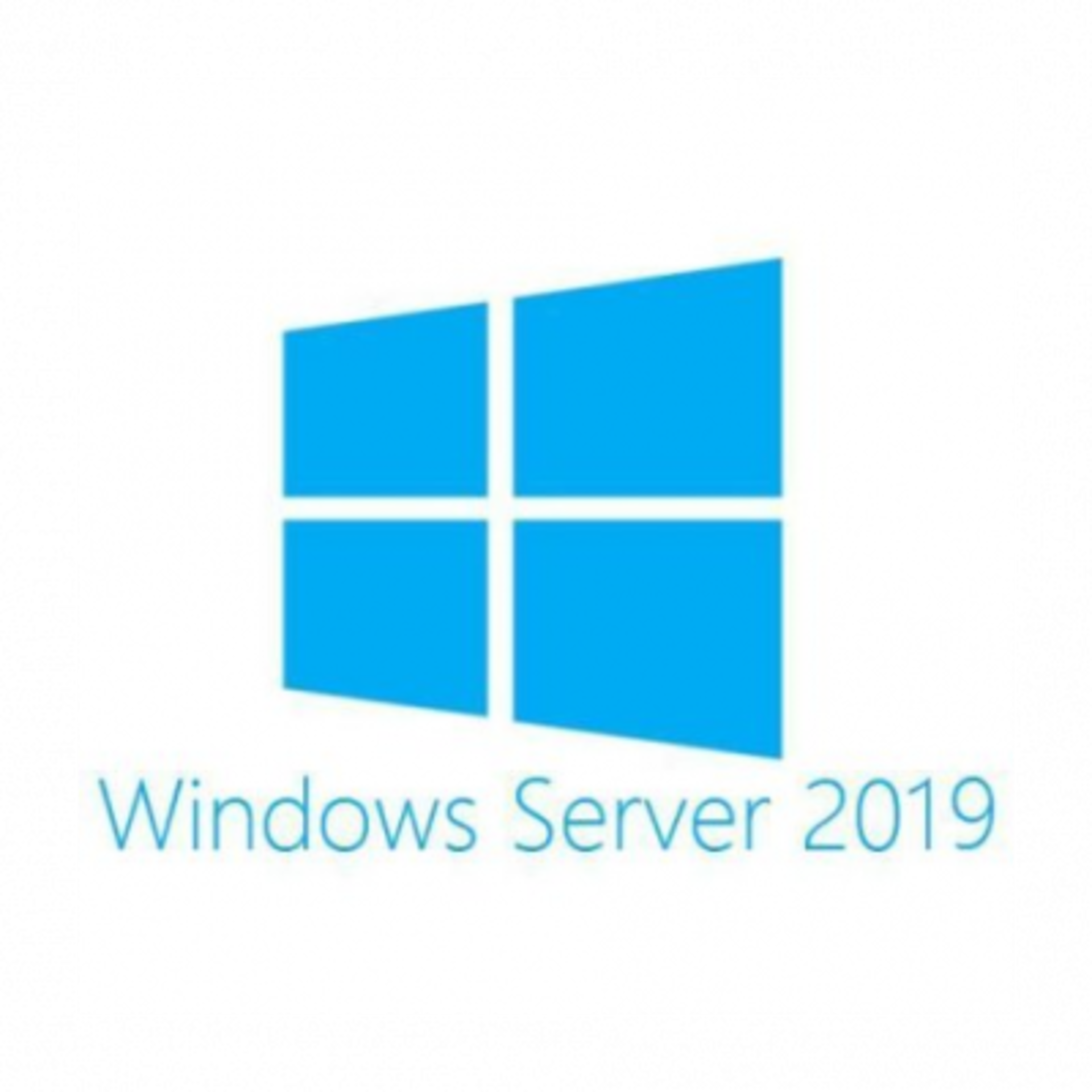 Лицензия Win Rmt Dsktp Svcs CAL 2019 English MLP User CAL