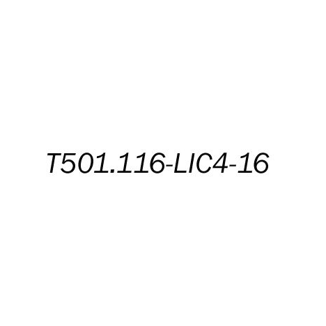 Лицензионный ключ на увеличение E1 портов с 4 до 16 для T501.116.404