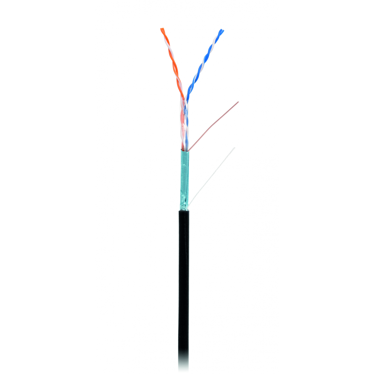 Кабель NETLAN F/UTP 2 пары, Кат.5 (Класс D), 100МГц, одножильный, BC (чистая медь), внешний, PE до -40C, черный, 305м