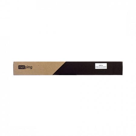 Устройство NetPing 4/PWR-220 v6.1/GSM3G (Разъём C13)
