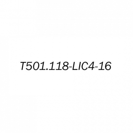 Лицензионный ключ на увеличение E1 портов с 4 до 16 для T501.118.400