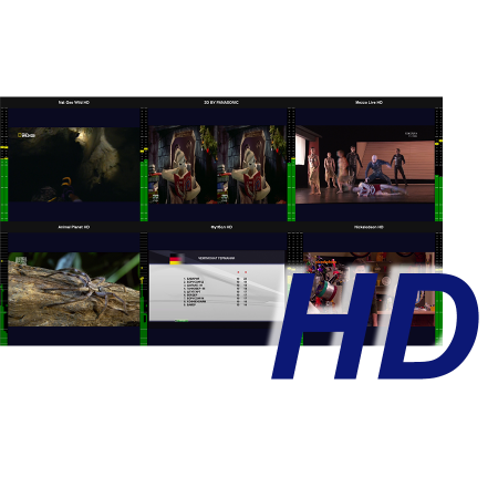 MultiScreen инструментальный контроль и визуализация ТВ каналов HD разрешения (1 канал)