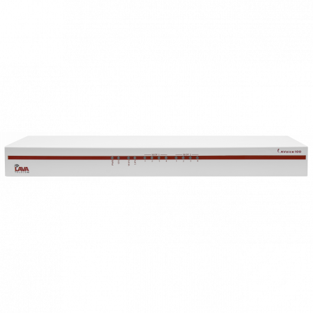IP АТС  LAVoice-100, базовый блок