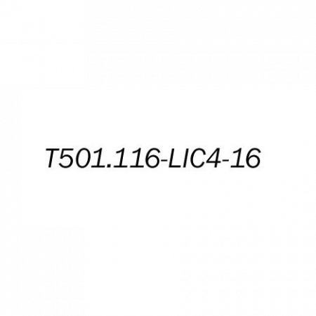 Лицензионный ключ на увеличение E1 портов с 4 до 16 для T501.116.404