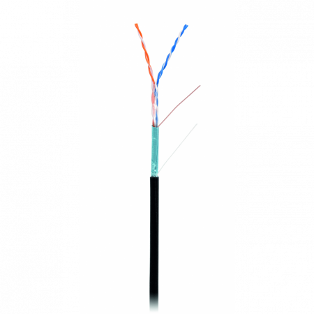 Кабель NETLAN F/UTP 2 пары, Кат.5 (Класс D), 100МГц, одножильный, BC (чистая медь), внешний, PE до -40C, черный, 305м