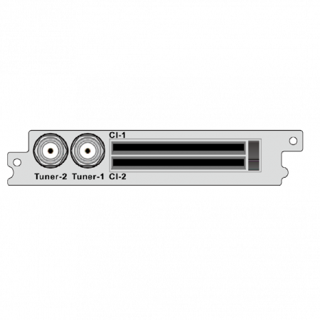 2-канальный демодулятор DVB-S2 / S, 2 * CI для  DCP-1000Pro