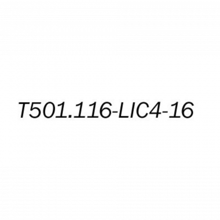 Лицензионный ключ на увеличение E1 портов с 4 до 16 для T501.116.404